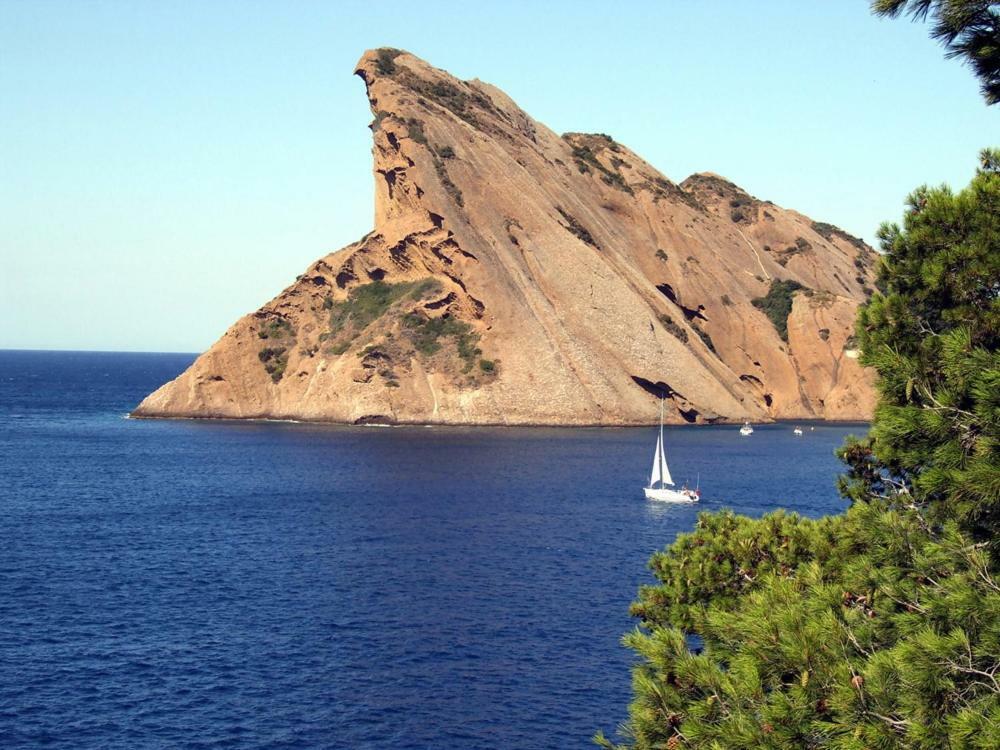 Appart. 4 Pers A 6 Kms De Cassis Avec Acces Piscine Roquefort-la-Bedoule Ngoại thất bức ảnh